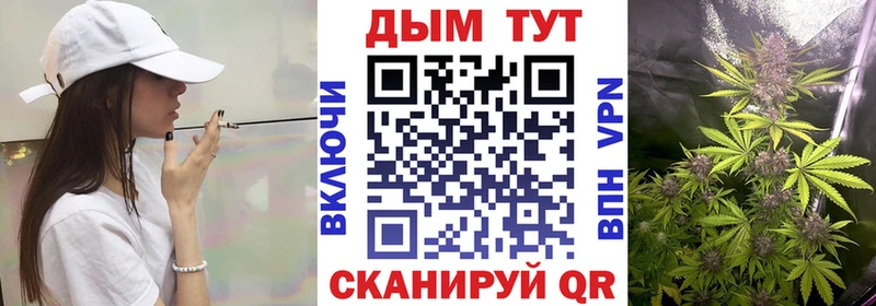 Магазины продажи наркотиков Заозёрск Alpha PVP  Меф мяу мяу  Cocaine  Гашиш  Конопля 