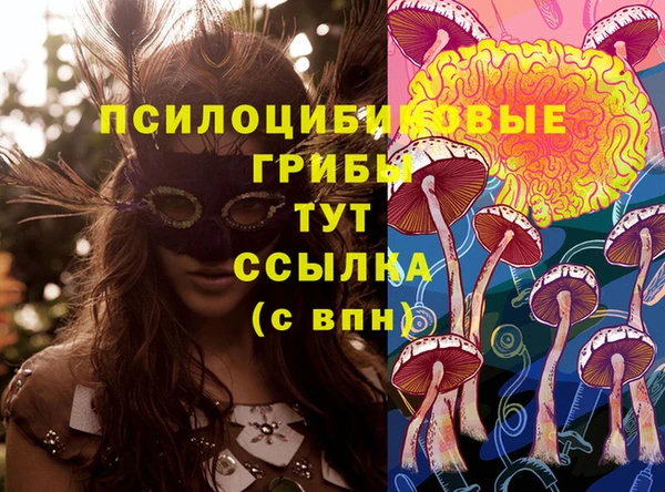 спиды Баксан